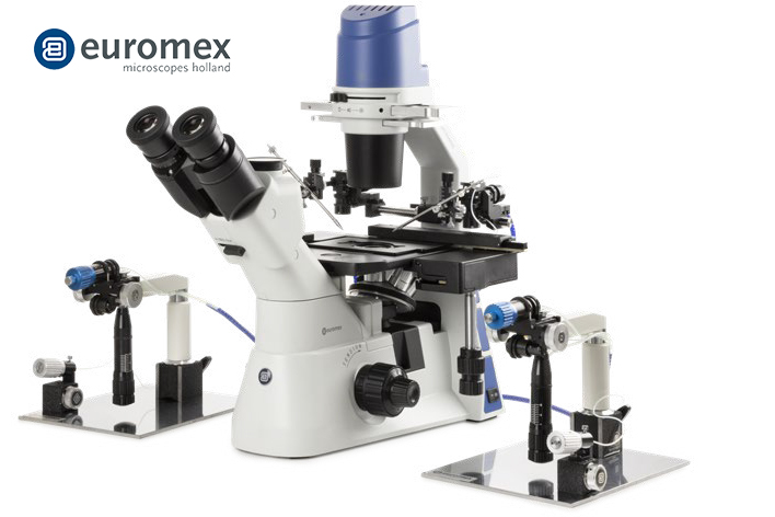 Euromex Microscope 